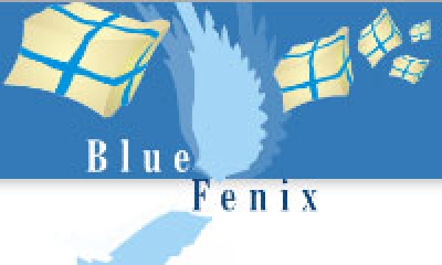 Blue Fenix Ltd - przesyłki kurierskie