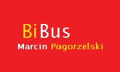 BIbus - usługi transportowe